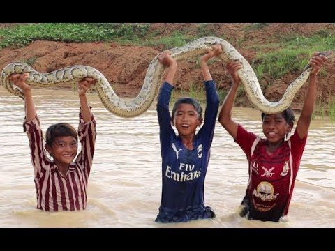 Μικρά παιδιά παίζουν με τεράστιο φίδι και κερδίζουν!