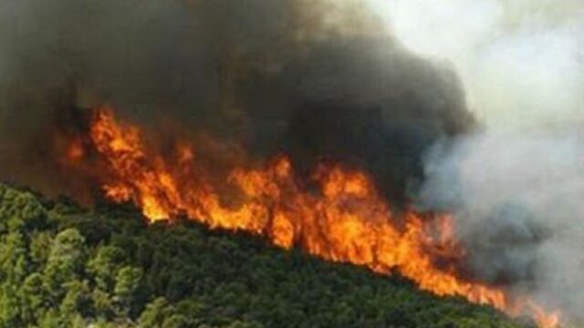 Σε 27 ανέρχονται οι αγροτοδασικές πυρκαγιές το τελευταίο 24ωρο