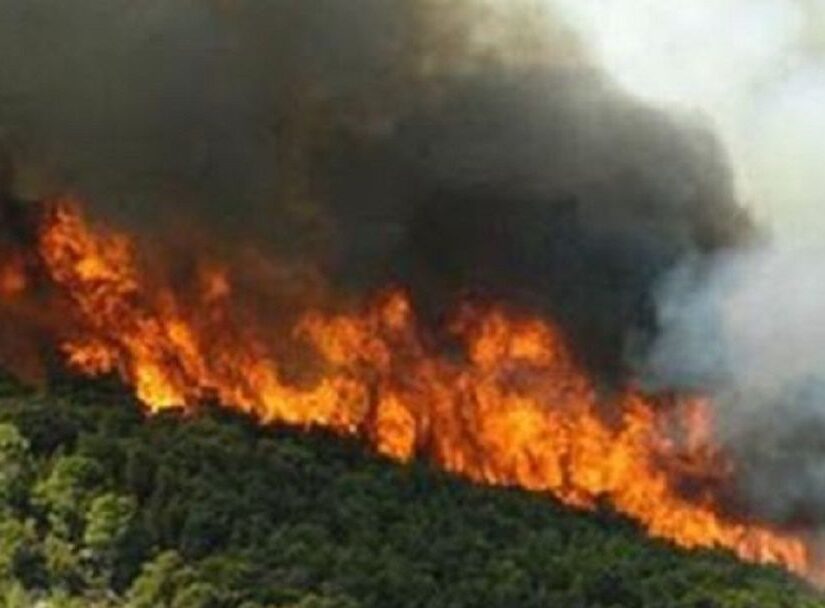 Σε 27 ανέρχονται οι αγροτοδασικές πυρκαγιές το τελευταίο 24ωρο