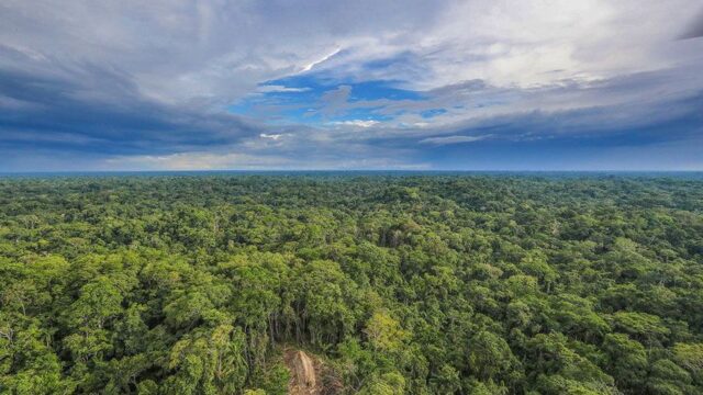 Καταστρέφεται το δάσος του Αμαζονίου