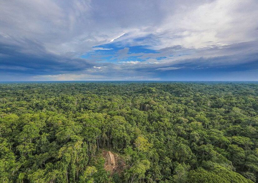 Καταστρέφεται το δάσος του Αμαζονίου