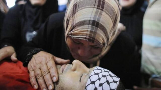 To παλαιστινιακό δεν παρακάμπτεται, Κώστας Ράπτης