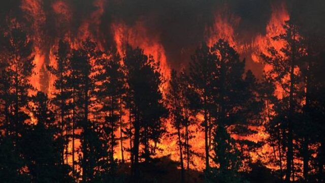 Επιβίωση από την κόλαση της φωτιάς στην Μοντάνα των ΗΠΑ