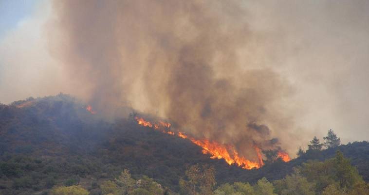 Πυρκαγιά σε εξέλιξη στην περιοχή Νεράκι Λαυρίου