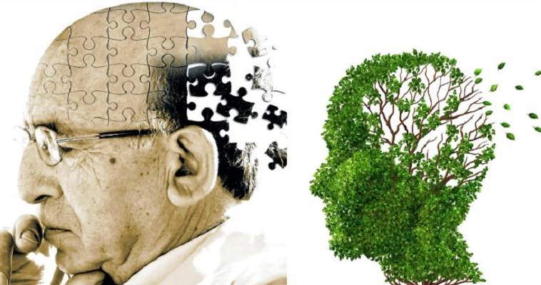 Ο εγκέφαλος πολεμά μέχρι τα γεράματά, αλλά στο Αλτσχάιμερ…