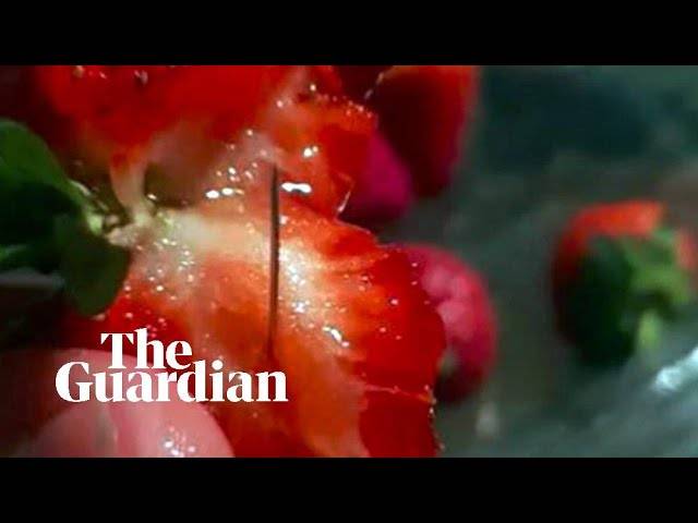 Ένα παράξενο σαμποτάζ στις φράουλες της Αυστραλίας