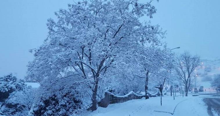 ΕΜΥ: Χριστούγεννα με χιόνι, βοριά και κρύο