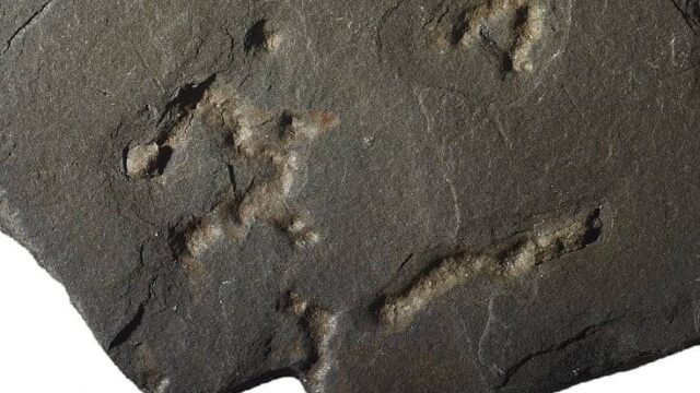 Η ζωή στη Γη ξεκίνησε πριν από 2,1 δισ. χρόνια;