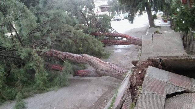 Οδηγίες αυτοπροστασίας από τους θυελλώδεις ανέμους, εξέδωσε η ΓΓΠΠ
