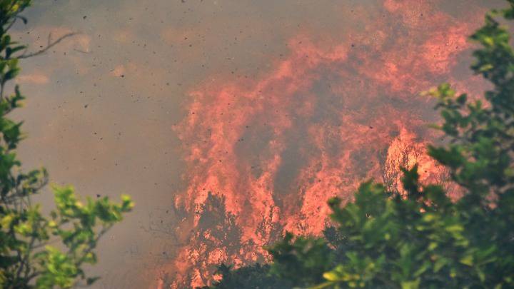 Σε εξέλιξη μεγάλη φωτιά στην Εύβοια… πυρκαγιές σε Ιωάννινα και Θήβα