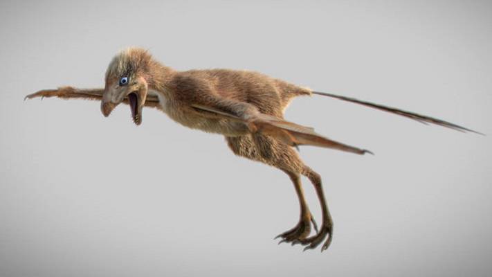 Κίνα: Δεινόσαυρος με φτερά νυχτερίδας, 300 γραμμαρίων!