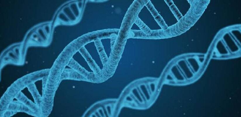 Έμβιος οργανισμός με DNA σχεδιασμένο από ανθρώπους… Τεχνητή ζωή;