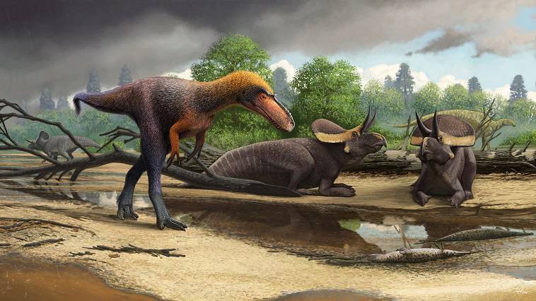 ΗΠΑ: Ανακαλύφθηκε πρόγονος του Τυραννόσαυρου Rex