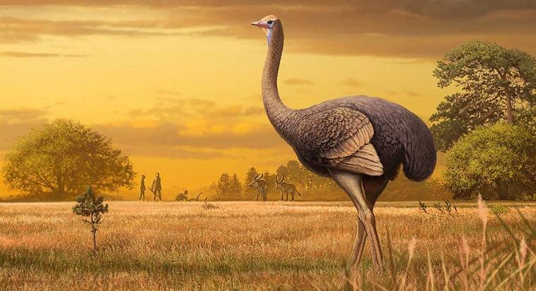 Κριμαία: Ανακαλύφθηκαν γιγαντιαία προϊστορικά πουλιά