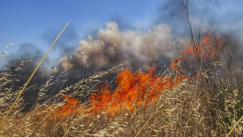 Εύβοια: Νέα μέτωπα και αναζωπυρώσεις στην πυρκαγιά της Καρύστου