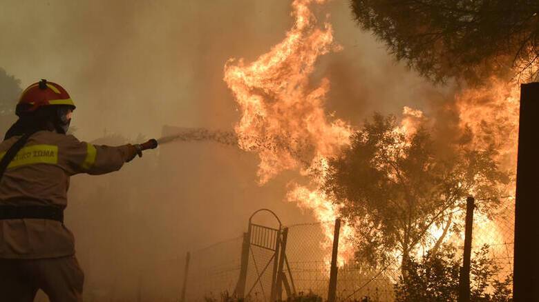 Πυρκαγιά στη Ζάκυνθο μεταξύ των χωριών Κοιλιωμένου και Αγαλά