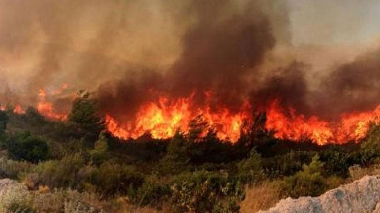 Κρήτη: Φωτιά στη Βιάννο