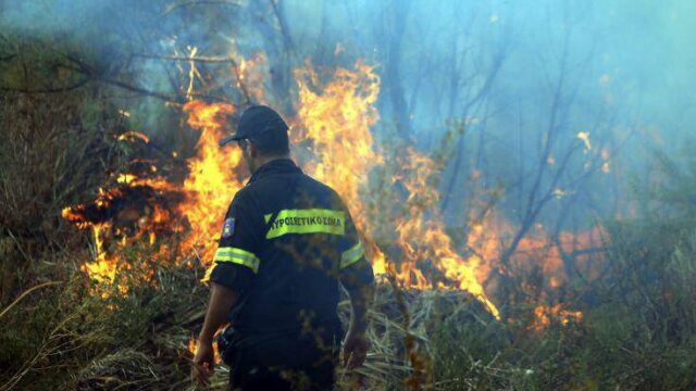 Θάσος: Υπό πλήρη έλεγχο η πυρκαγιά στο νησί