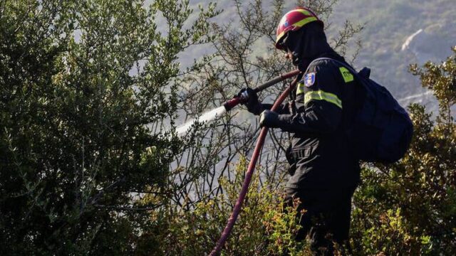 Πυρκαγιά σε δασική έκταση στον δήμο Αρχαίας Ολυμπίας