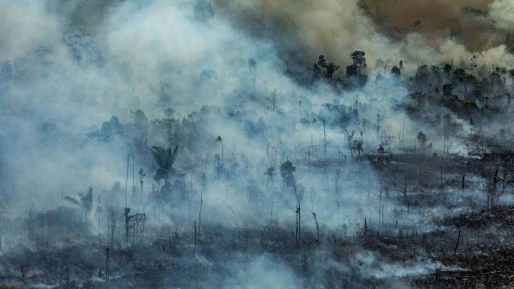 Βραζιλία: Αναπνευστικά προβλήματα σε παιδιά λόγω της φωτιάς στον Αμαζόνιο