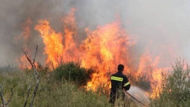 Πυρκαγιά ξέσπασε στην Αρτέμιδα Αττικής