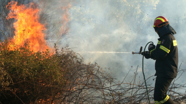 Νέα πυρκαγιά σε γεωργική έκταση στη Μεσσηνία