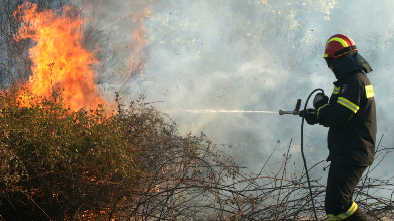 Νέα πυρκαγιά σε γεωργική έκταση στη Μεσσηνία
