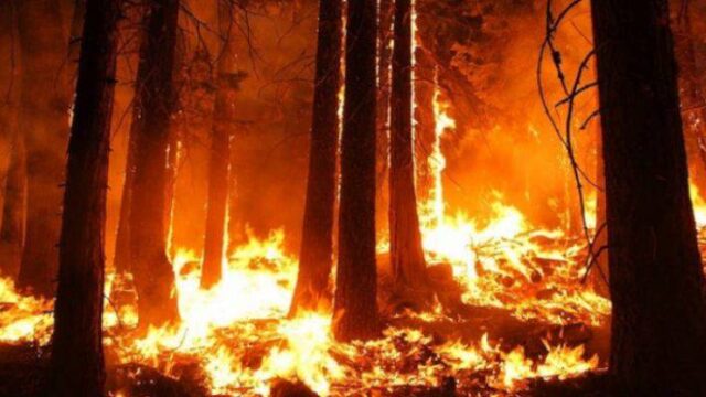 Συνεχίζονται οι προσπάθειες για την κατάσβεση πυρκαγιών στη Σιβηρία
