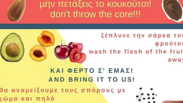«Βόμβες» σπόρων, η νέα μέθοδος για καλλιέργεια σε άγονα εδάφη!
