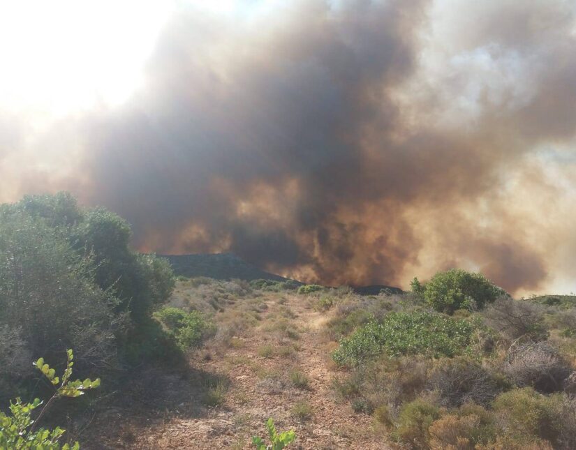 Συνεχίζει να καίγεται η Ελαφόνησος – Εκκενώθηκαν κάμπινγκ, ξενοδοχεία και οικισμός