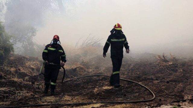 Εύβοια: Μάχη με τις αναζωπυρώσεις δίνουν οι πυροσβέστες