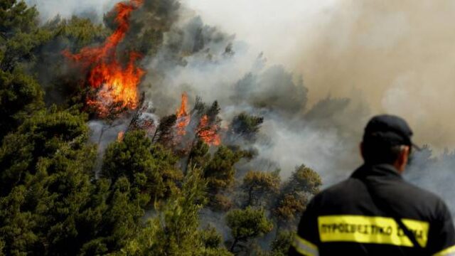 Πυρκαγιά σε δασική έκταση στην Κλειτορία Καλαβρύτων