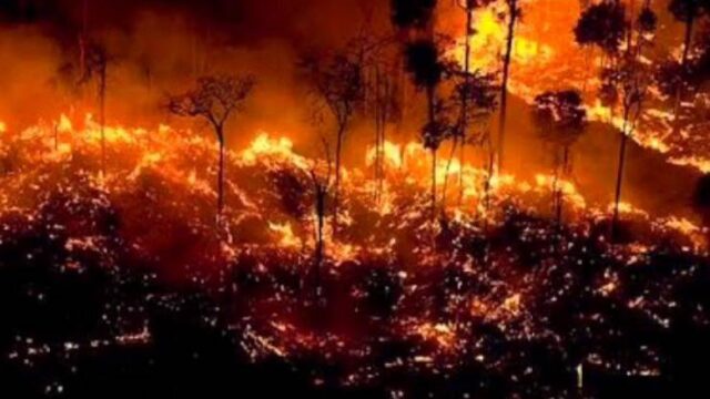 Μαίνονται οι πυρκαγιές στον Αμαζόνιο, ενώ ο ΟΗΕ συνεδριάζει για το κλίμα