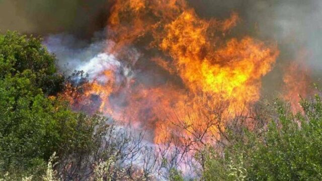 Σε εξέλιξη πυρκαγιά στην περιοχή Ριόλου στην Αχαΐα