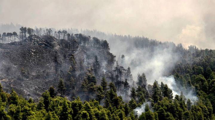 Συνεχίζεται η μάχη της κατάσβεσης της πυρκαγιάς στην Εύβοια