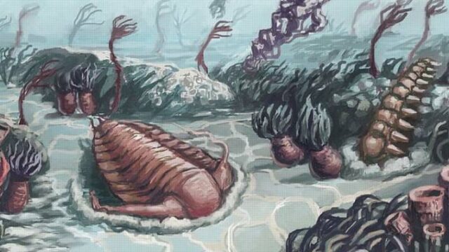 Πλανήτης Γη: Το αρχαιότερο «ταξίδι» πριν από 550 εκατομμύρια χρόνια