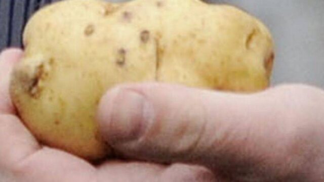 Βίντεο με Κούρδους πολίτες να πετούν πατάτες σε αμερικανική φάλαγγα