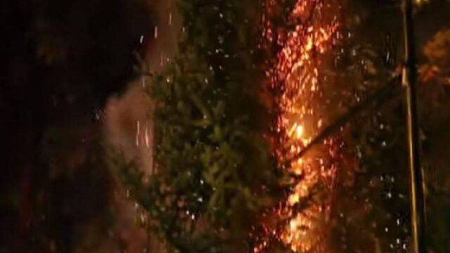 Έκαψαν το χριστουγεννιάτικο δέντρο στα Εξάρχεια και πανηγύριζαν (vid.)