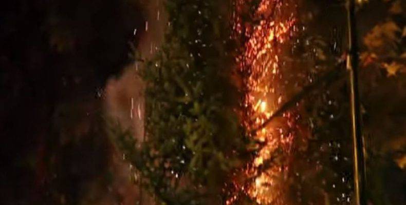 Έκαψαν το χριστουγεννιάτικο δέντρο στα Εξάρχεια και πανηγύριζαν (vid.)