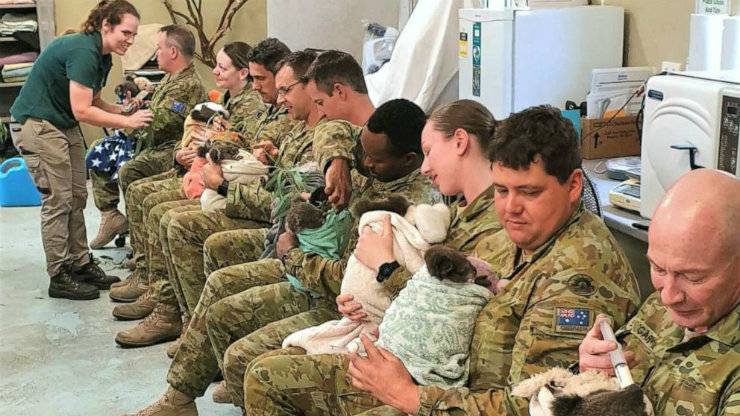 Αυστραλοί στρατιώτες ταΐζουν πληγωμένα κοάλα