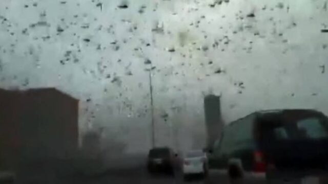Μπαχρέιν: Σκοτείνιασε ο ουρανός από τις ακρίδες (βίντεο)