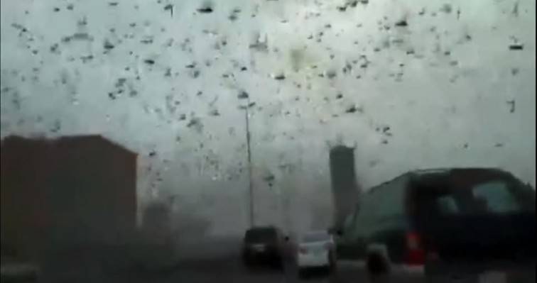 Μπαχρέιν: Σκοτείνιασε ο ουρανός από τις ακρίδες (βίντεο)