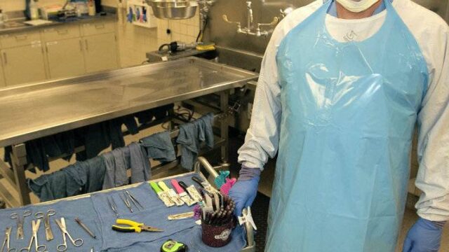 Το 11 μηνών βρέφος είχε υποστεί άγρια σεξουαλική κακοποίηση σύμφωνα με το πόρισμα