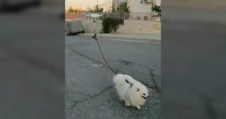 Ρώσος σε απομόνωση βγάζει βόλτα τον σκύλο με ντρόουν (βίντεο)