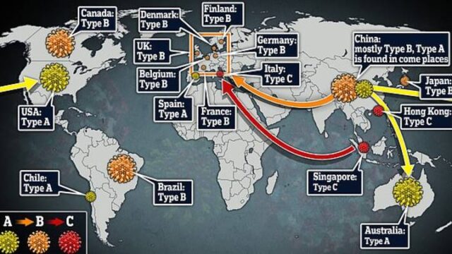 Υπάρχουν τρία διαφορετικά στελέχη του νέου κορονοϊού παγκοσμίως