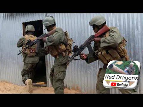 Ο στρατός του Τσάντ αρχίζει επιχειρήσεις αφού έχασε 98 στελέχη (βίντεο)