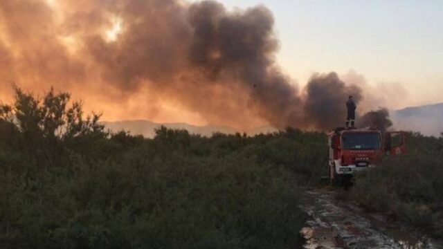 Μάχη πυροσβεστικής με τις φλόγες σε οκτώ περιοχές της Ελλάδας