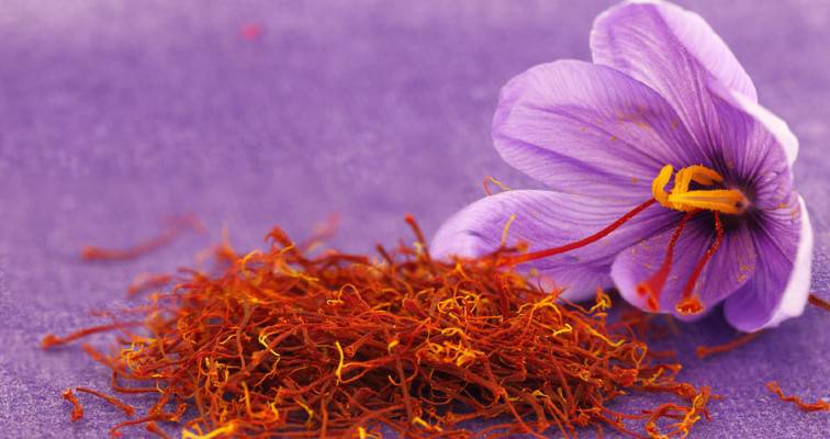 Η πρώτη ποσότητα Κρόκου Κοζάνης εξάγεται στην Κίνα