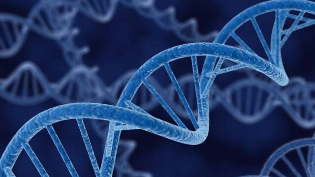 Βρήκαν κάποια από τα γονίδια που μας καθιστούν πιο ευπαθείς στον κορονοϊό, ολγα μαυρου