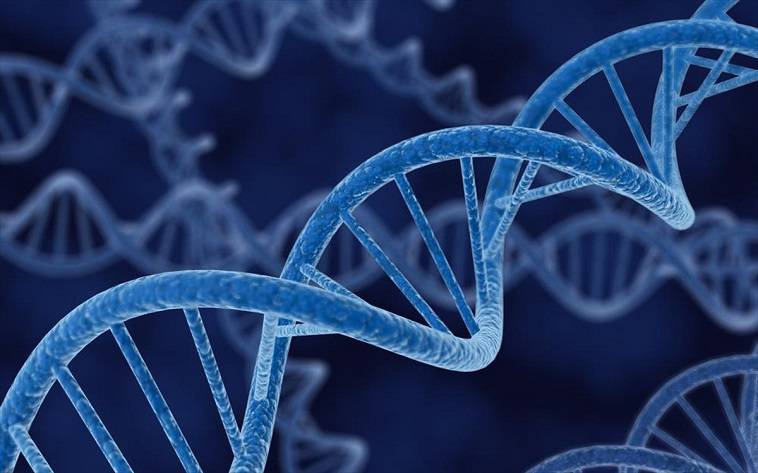 Βρήκαν κάποια από τα γονίδια που μας καθιστούν πιο ευπαθείς στον κορονοϊό, ολγα μαυρου